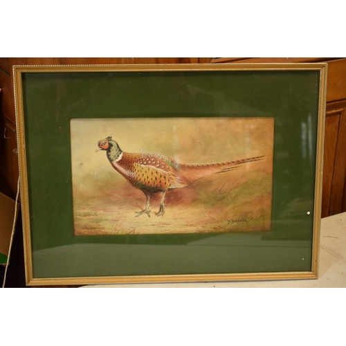 27C - Donald Birbeck: watercolour of a pheasant amongst foliage, signed by Birbeck, a former Royal Crown D... 