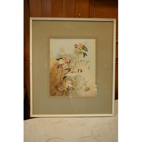 27D - Donald Birbeck: watercolour of goldfinches, by Birbeck, a former Royal Crown Derby and Royal Worcest... 