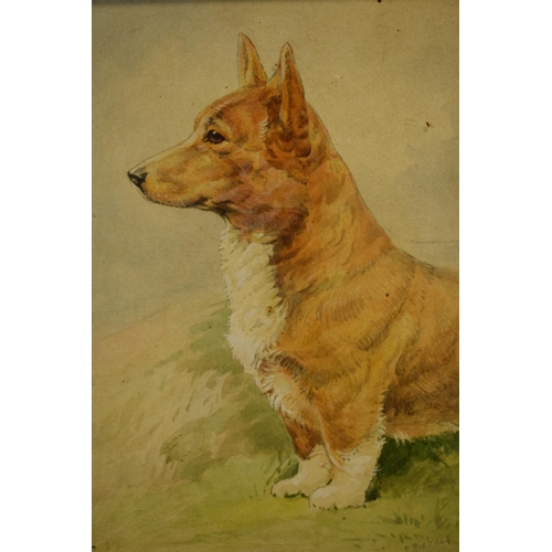 27G - Donald Birbeck: watercolours of a corgi and a robin, signed by Birbeck , a former Royal Crown Derby ... 