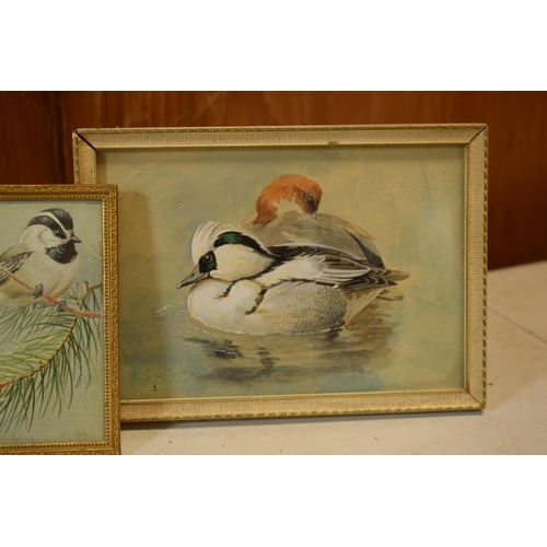 27J - Donald Birbeck: watercolours of a magpie, ducks and bird on a branch, signed by Birbeck , a former R... 