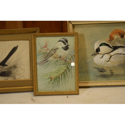 27J - Donald Birbeck: watercolours of a magpie, ducks and bird on a branch, signed by Birbeck , a former R... 