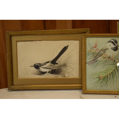 27J - Donald Birbeck: watercolours of a magpie, ducks and bird on a branch, signed by Birbeck , a former R... 