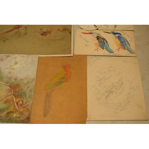 27L - Donald Birbeck: an interesting collection of unmounted artwork to include watercolours and similar, ... 