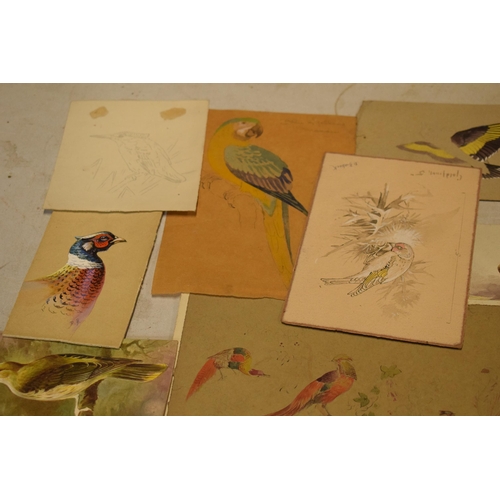 27L - Donald Birbeck: an interesting collection of unmounted artwork to include watercolours and similar, ... 