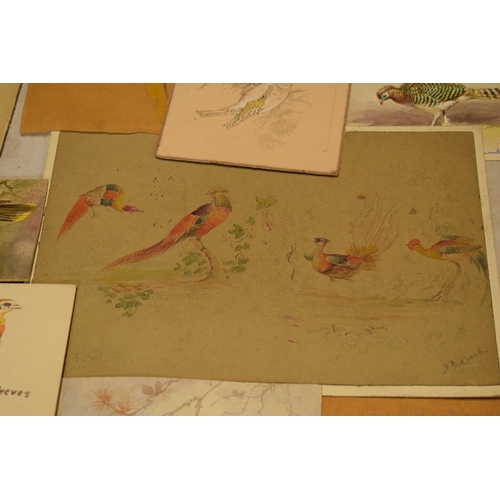 27L - Donald Birbeck: an interesting collection of unmounted artwork to include watercolours and similar, ... 