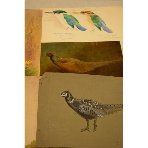 27N - Donald Birbeck: an interesting collection of unmounted artwork to include watercolours and similar, ... 