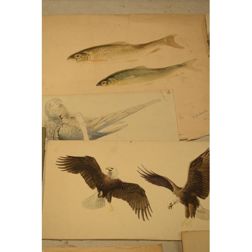 27N - Donald Birbeck: an interesting collection of unmounted artwork to include watercolours and similar, ... 