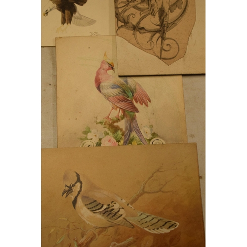 27N - Donald Birbeck: an interesting collection of unmounted artwork to include watercolours and similar, ... 