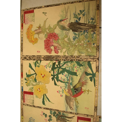 27R - An interesting collection of Crown Derby Porcelain Co. Limited oriental printed artwork with animals... 