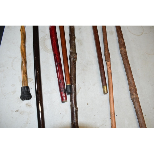 324 - A collection of vintage and similar walking sticks, some with ornate handles such as a terrier, horn... 