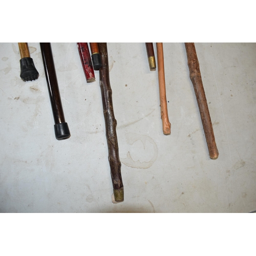 324 - A collection of vintage and similar walking sticks, some with ornate handles such as a terrier, horn... 