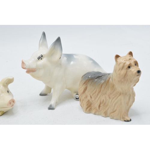 56 - Beswick animals to include comical sitting pig 839, sow and piglet together with 2 West Highland ter... 