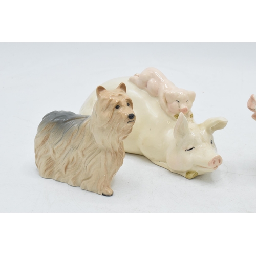 56 - Beswick animals to include comical sitting pig 839, sow and piglet together with 2 West Highland ter... 