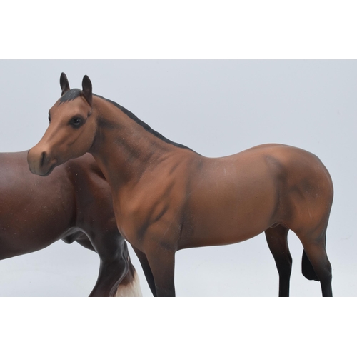 67 - Beswick brown matte shire A2578 together with matte brown Thoroughbred on base H1772 (2).