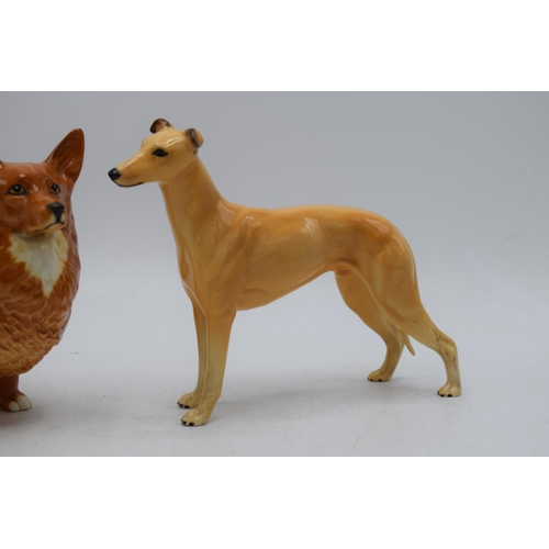 81 - Beswick large corgi and large greyhound CH. Jovial Roger (2).