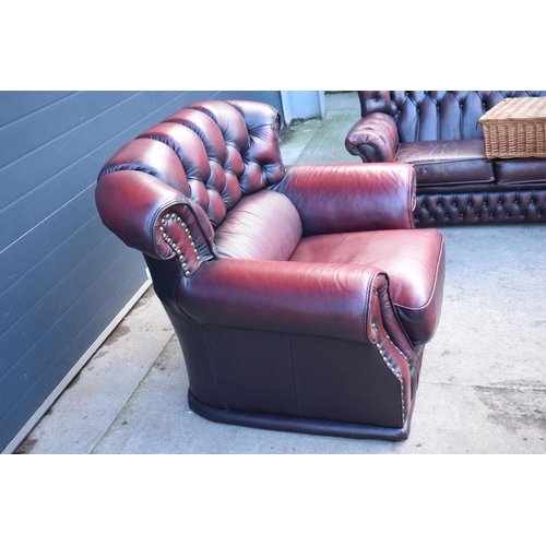 404 - Red oxblood leather Chesterfield-style button-back armchair with metal beading, 110x96x92cm tall.