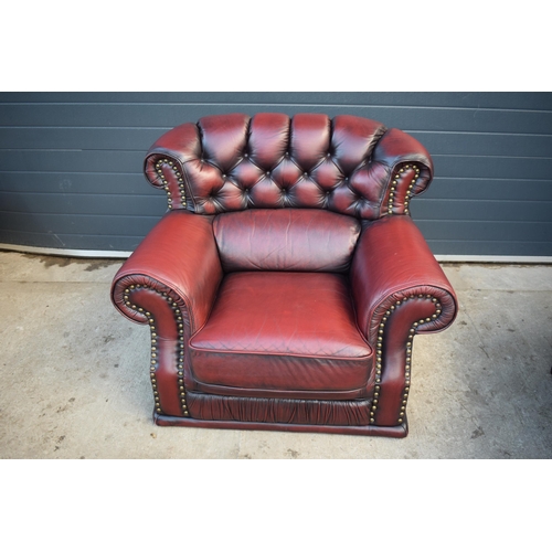 404 - Red oxblood leather Chesterfield-style button-back armchair with metal beading, 110x96x92cm tall.