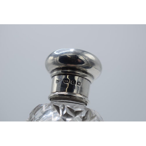 120 - Large Victorian silver and cut glass perfume bottle, 25cm long, Birmingham 1897.