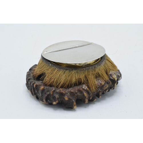 201 - Georgian silver mounted antler snuff mull, Sheffield 1824, 5.5cm wide.