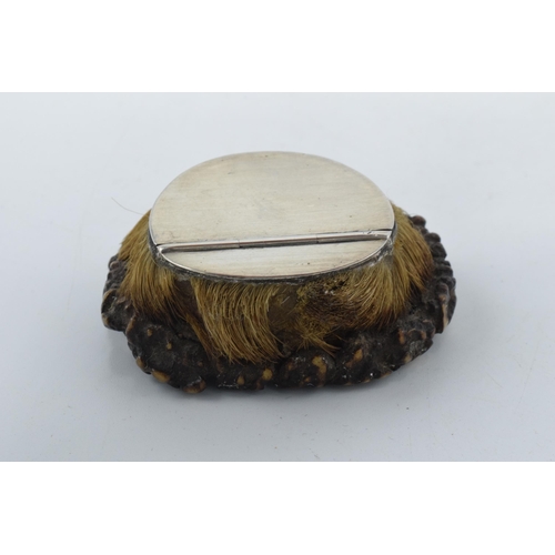 201 - Georgian silver mounted antler snuff mull, Sheffield 1824, 5.5cm wide.