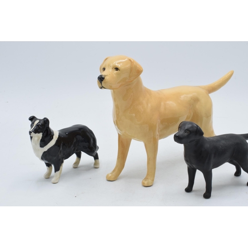 66 - Beswick large Labrador figure with smaller Border Collie and matte black Labrador (3).