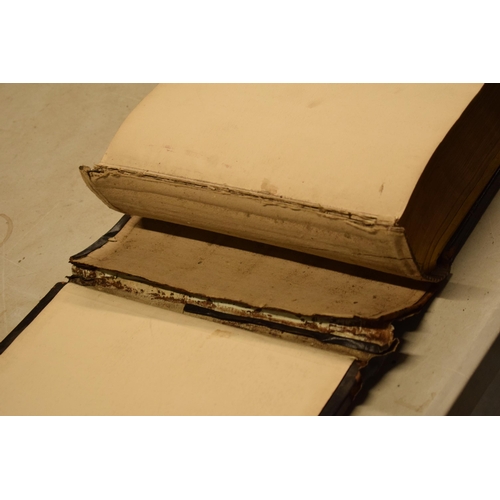 38 - Royal Crown Derby paperweight in the form of a Polar Bear, with gold stopper.