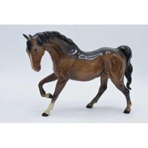67 - Beswick horses to include brown shire 818, grey thoroughbred (13cm tall), a brown Shetland (ear af) ... 