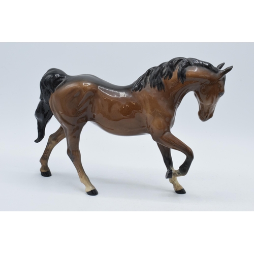 67 - Beswick horses to include brown shire 818, grey thoroughbred (13cm tall), a brown Shetland (ear af) ... 
