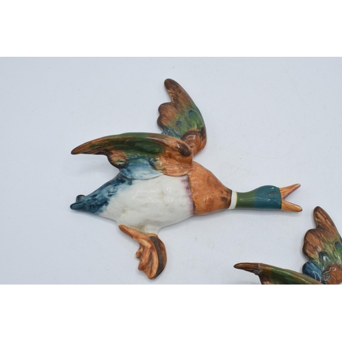78 - Beswick flying mallard wall plaques to include 596-3 and 596-4 (this piece is damaged in several pla... 