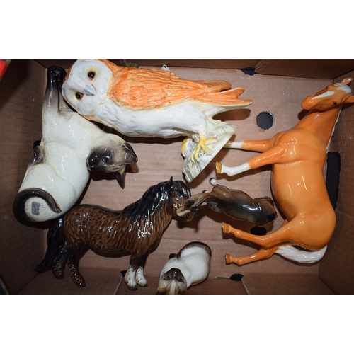 59 - Beswick palomino mare facing left 976, barn owl 1046, a Siamese cat 1558 and a brown foal together w... 