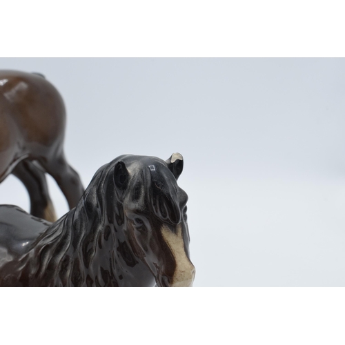 67 - Beswick horses to include brown shire 818, grey thoroughbred (13cm tall), a brown Shetland (ear af) ... 