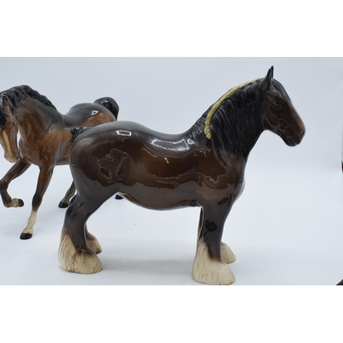67 - Beswick horses to include brown shire 818, grey thoroughbred (13cm tall), a brown Shetland (ear af) ... 