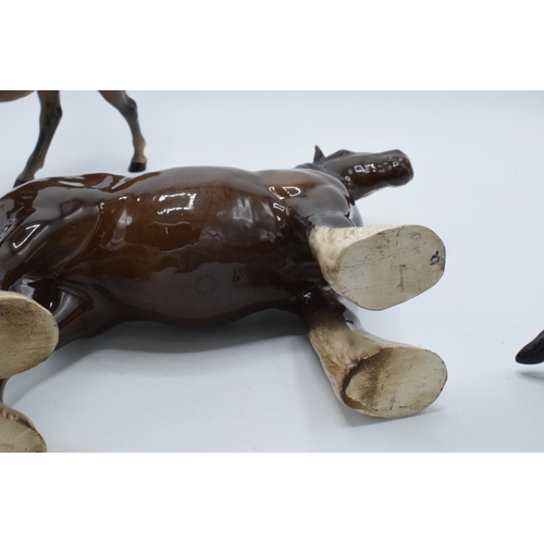 67 - Beswick horses to include brown shire 818, grey thoroughbred (13cm tall), a brown Shetland (ear af) ... 