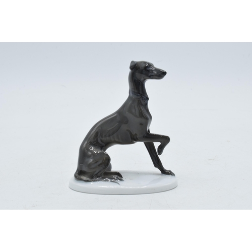 10G - Rosenthal model of a sitting Italian Greyhound, 9cm tall, K289.