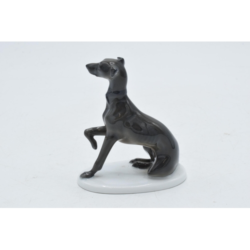 10G - Rosenthal model of a sitting Italian Greyhound, 9cm tall, K289.