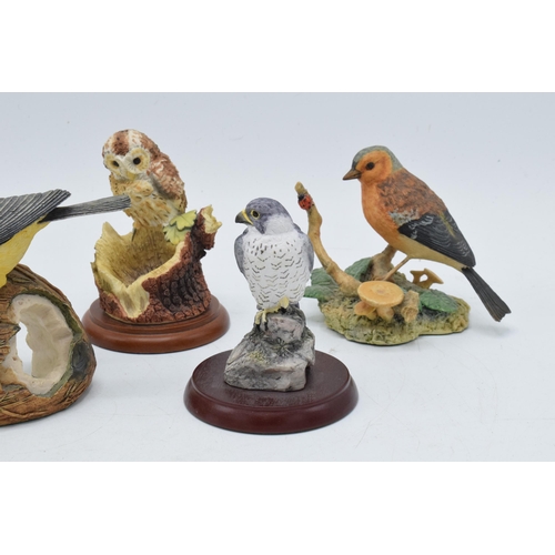 17 - Border Fine Arts to include a Bluetit, Tawny Owl with Nest, a Great Tit on Coconut (glued), Symbol o... 