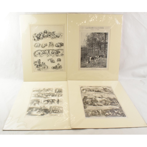 462 - A collection of 4 mounted horse hunting related etchings including a 'Kennel Club Dog Show at the Cr... 