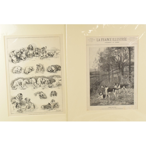 462 - A collection of 4 mounted horse hunting related etchings including a 'Kennel Club Dog Show at the Cr... 