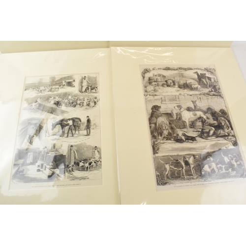 462 - A collection of 4 mounted horse hunting related etchings including a 'Kennel Club Dog Show at the Cr... 