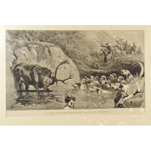 463 - Mounted magazine engraving / illustration 'A Day with the Prince of Wales on Exmoor', stag hunting i... 