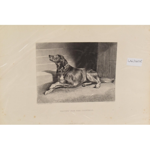 464 - A selection of book plates of dog and hunting interest, including a Landseer example 'Waiting for th... 