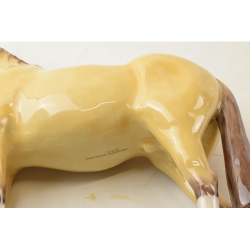 66 - Boxed Beswick Dunn Stallion: Limited edition Collectors Club piece 2007.