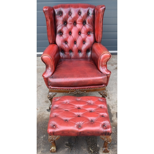 505 - Queen Anne revival chesterfield wingback armchair, in red leather with button back, raised on front ... 