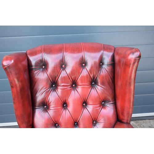 505 - Queen Anne revival chesterfield wingback armchair, in red leather with button back, raised on front ... 