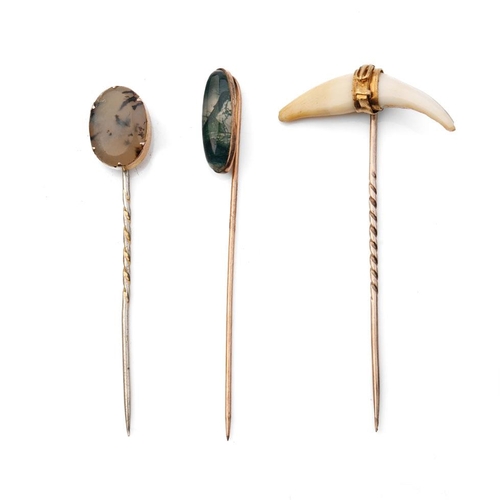 405 - A trio of stick pins to include a tooth, set in 18ct gold belt clasp with 9ct gold pin, a grey moss ... 