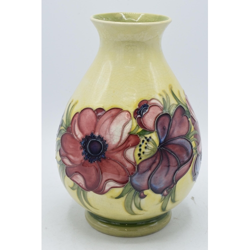 131 - Large Moorcroft Hibiscus on Yellow low shouldered bulbous vase, 24cm tall (professionally restored t... 