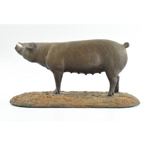 262 - North Light bronzed resin model of a British Landrace pig, 23cm long (some restoration).