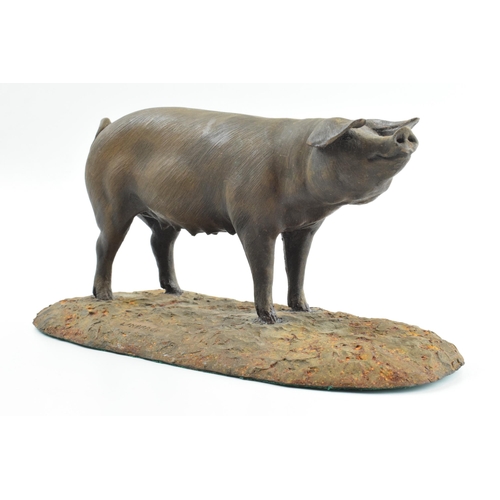 262 - North Light bronzed resin model of a British Landrace pig, 23cm long (some restoration).