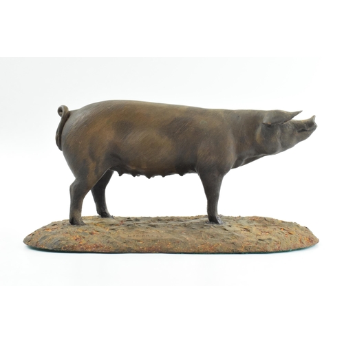 262 - North Light bronzed resin model of a British Landrace pig, 23cm long (some restoration).