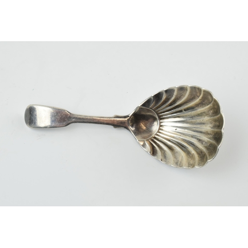 298 - Georgian hallmarked silver caddy spoon, Birmingham 1806, in the form of a shell, 13.3 grams, 9cm lon... 